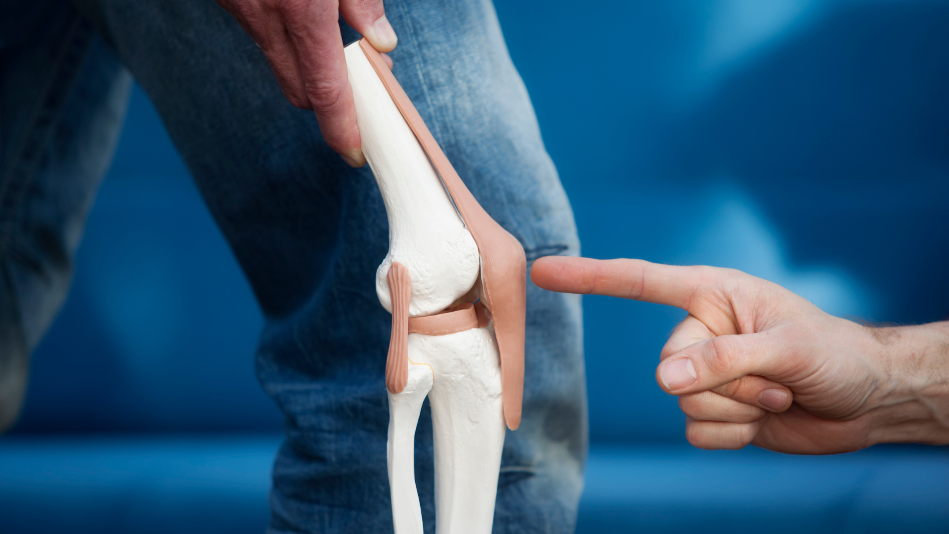 Knee Replacement